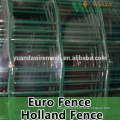 ISO certificated Wavy mesh/Plastic coated Euro fence with high quality(Manufacturer)Hot sale